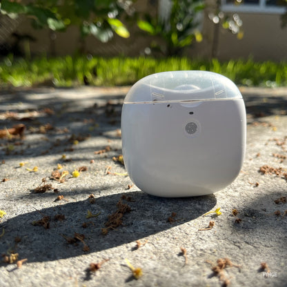 FYNGE electric nail trimmer standing on sunlit concrete