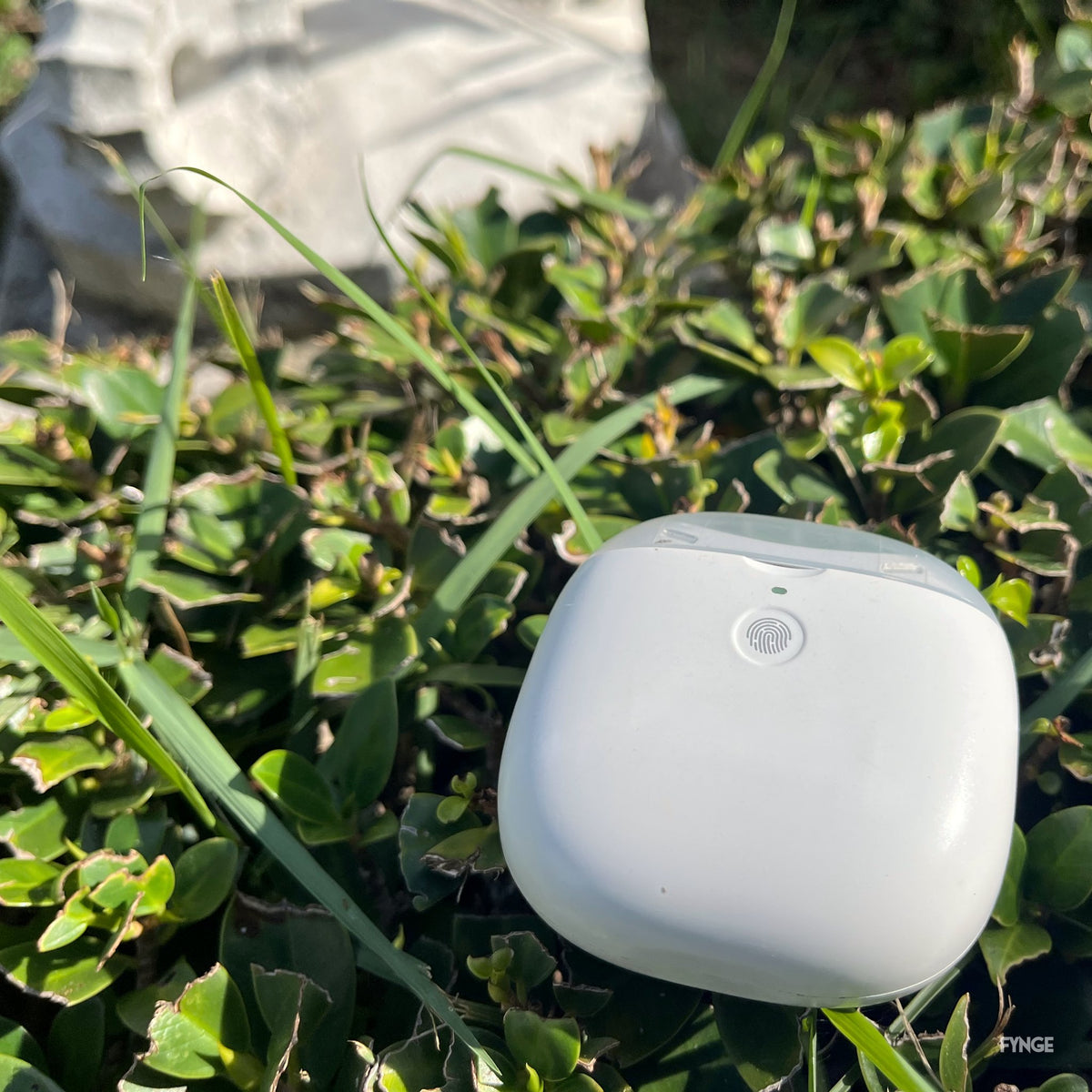 White FYNGE nail trimmer resting in green clover