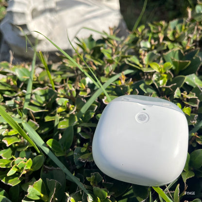 White FYNGE nail trimmer resting in green clover