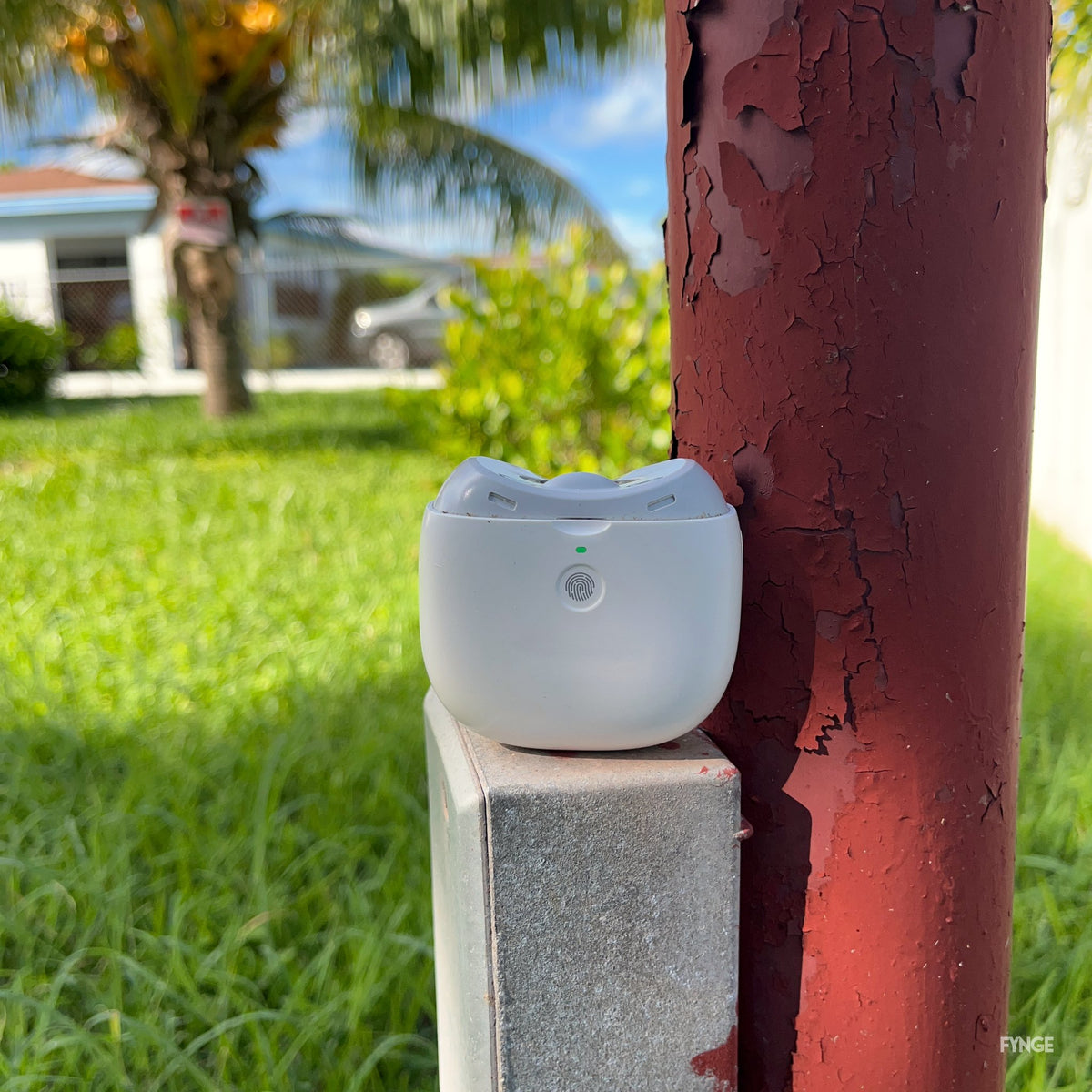 FYNGE nail trimmer standing on a stone block outdoors